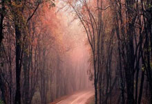 巴黎法甲头名神勇，全队士气高涨