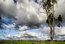 意志坚如磐石再交首胜，主帅培养心形专注后卫战术