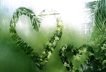 角逐激烈火热进行，谁将成为本赛季的明星球员？