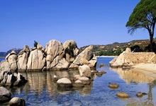 意志坚如磐石再交首胜，主帅培养心形专注后卫战术